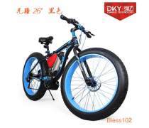 沙灘自行車產(chǎn)品庫