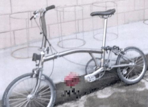 62歲男子偷自行車被判刑十個(gè)月 早知道這么貴,我就不偷了