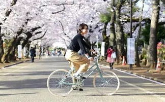 滿大街的摩拜ofo騎膩了,還有這些時(shí)髦又輕便的自行車